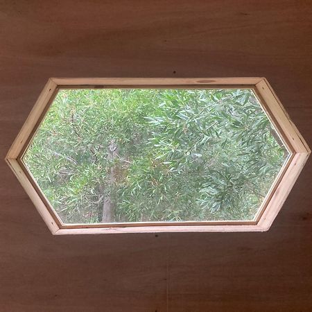 Casa Hobbit Villa Mar del Plata Ngoại thất bức ảnh